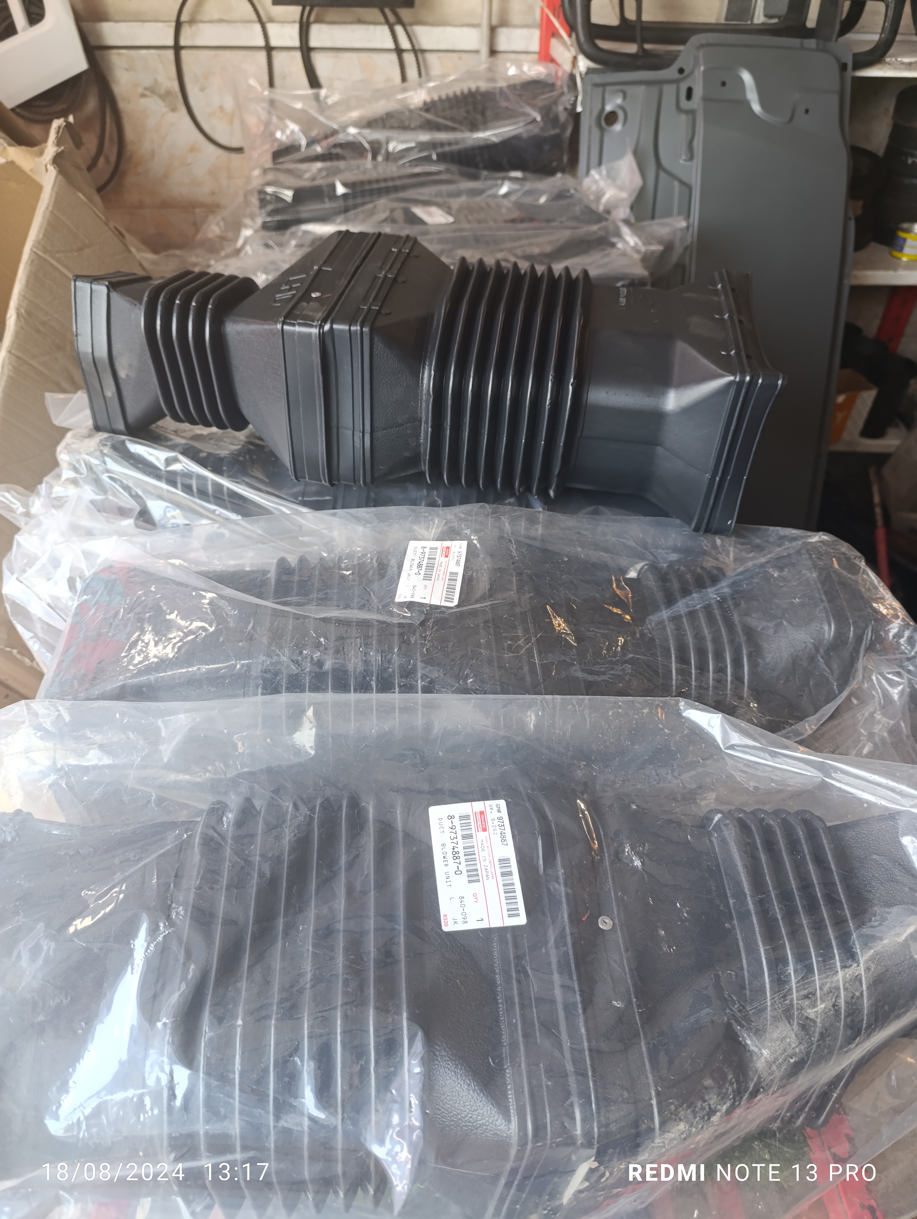 آکاردئونی ژاپنی